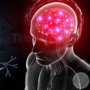 Illustration of a human brain illuminated with bright dots, next to a detailed neuron, both connected by energy, symbolizing the action of neurotransmitters in emotional well-being.